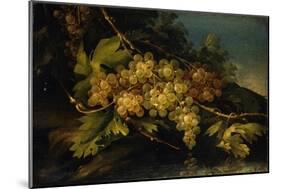 Still Life (Bunch of Yellow Grapes)-Francesco Malagoli-Mounted Art Print