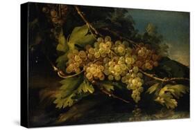 Still Life (Bunch of Yellow Grapes)-Francesco Malagoli-Stretched Canvas