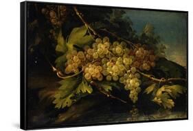 Still Life (Bunch of Yellow Grapes)-Francesco Malagoli-Framed Stretched Canvas