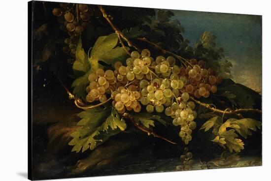 Still Life (Bunch of Yellow Grapes)-Francesco Malagoli-Stretched Canvas