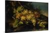 Still Life (Bunch of Yellow Grapes)-Francesco Malagoli-Stretched Canvas