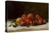 Still Life, C.1871-72-Gustave Courbet-Stretched Canvas
