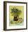 Still Life, c.1888-Vincent van Gogh-Framed Art Print