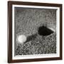 Still-Life Composition, Golf-Curtis Moffat-Framed Giclee Print