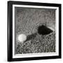 Still-Life Composition, Golf-Curtis Moffat-Framed Giclee Print