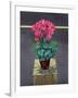 Still Life Cyclamen-Christopher Ryland-Framed Giclee Print