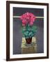 Still Life Cyclamen-Christopher Ryland-Framed Giclee Print