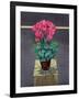 Still Life Cyclamen-Christopher Ryland-Framed Giclee Print