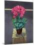 Still Life Cyclamen-Christopher Ryland-Mounted Giclee Print