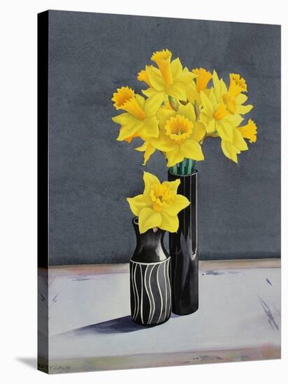 Still Life Daffodils-Christopher Ryland-Stretched Canvas