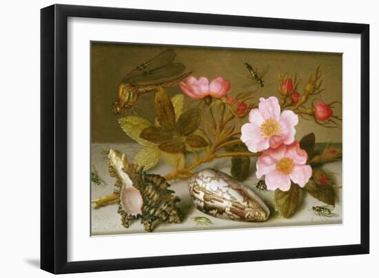 Still Life Depicting Flowers, Shells and a Dragonfly-Balthasar van der Ast-Framed Giclee Print