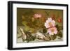 Still Life Depicting Flowers, Shells and a Dragonfly-Balthasar van der Ast-Framed Giclee Print