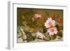 Still Life Depicting Flowers, Shells and a Dragonfly-Balthasar van der Ast-Framed Giclee Print