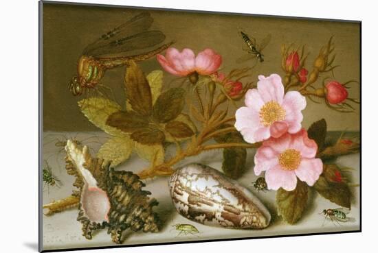 Still Life Depicting Flowers, Shells and a Dragonfly-Balthasar van der Ast-Mounted Giclee Print