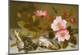 Still Life Depicting Flowers, Shells and a Dragonfly-Balthasar van der Ast-Mounted Giclee Print