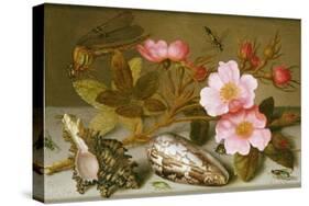 Still Life Depicting Flowers, Shells and a Dragonfly-Balthasar van der Ast-Stretched Canvas