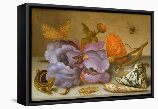 Still Life Depicting Flowers, Shells and Insects (Oil on Copper) (For Pair See 251378)-Balthasar van der Ast-Framed Stretched Canvas