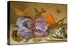 Still Life Depicting Flowers, Shells and Insects (Oil on Copper) (For Pair See 251378)-Balthasar van der Ast-Stretched Canvas