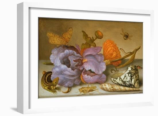 Still Life Depicting Flowers, Shells and Insects (Oil on Copper) (For Pair See 251378)-Balthasar van der Ast-Framed Giclee Print