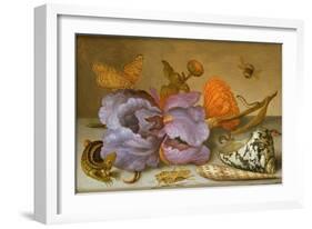 Still Life Depicting Flowers, Shells and Insects (Oil on Copper) (For Pair See 251378)-Balthasar van der Ast-Framed Giclee Print