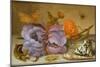 Still Life Depicting Flowers, Shells and Insects (Oil on Copper) (For Pair See 251378)-Balthasar van der Ast-Mounted Giclee Print