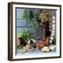 Still Life: Drying Herbs and Spices-null-Framed Photographic Print