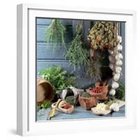 Still Life: Drying Herbs and Spices-null-Framed Photographic Print