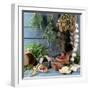 Still Life: Drying Herbs and Spices-null-Framed Photographic Print