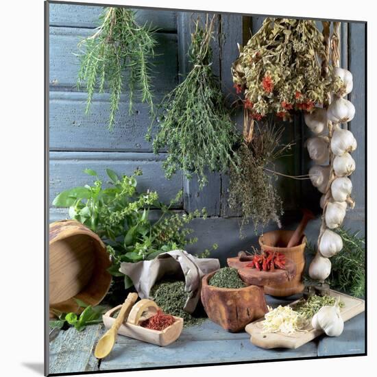 Still Life: Drying Herbs and Spices-null-Mounted Photographic Print