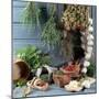 Still Life: Drying Herbs and Spices-null-Mounted Photographic Print