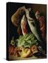 Still Life: Fish, Vegetables and Mushrooms-Francesco Malacrea-Stretched Canvas