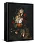 Still Life: Flowers and Fruit, C.1700-20 (Oil on Panel)-Jan van Huysum-Framed Stretched Canvas