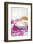 Still Life, Fountainness, Candle, Rose Blossoms-Andrea Haase-Framed Photographic Print