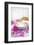 Still Life, Fountainness, Candle, Rose Blossoms-Andrea Haase-Framed Photographic Print