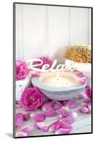Still Life, Fountainness, Candle, Rose Blossoms-Andrea Haase-Mounted Photographic Print