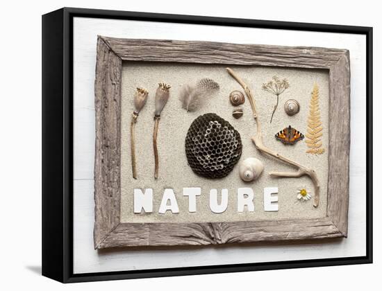 Still Life, Frame, Collection, Natural Materials-Andrea Haase-Framed Stretched Canvas