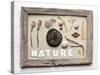 Still Life, Frame, Collection, Natural Materials-Andrea Haase-Stretched Canvas