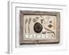 Still Life, Frame, Collection, Natural Materials-Andrea Haase-Framed Photographic Print