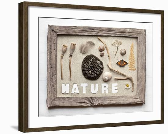 Still Life, Frame, Collection, Natural Materials-Andrea Haase-Framed Photographic Print