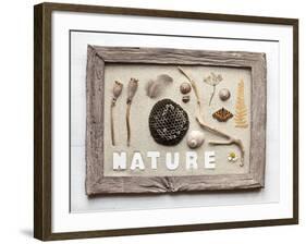 Still Life, Frame, Collection, Natural Materials-Andrea Haase-Framed Photographic Print