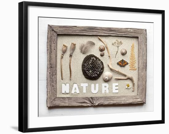 Still Life, Frame, Collection, Natural Materials-Andrea Haase-Framed Photographic Print