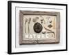 Still Life, Frame, Collection, Natural Materials-Andrea Haase-Framed Photographic Print