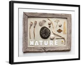 Still Life, Frame, Collection, Natural Materials-Andrea Haase-Framed Photographic Print