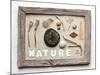 Still Life, Frame, Collection, Natural Materials-Andrea Haase-Mounted Photographic Print