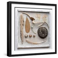 Still Life, Frame, Collection, Natural Materials-Andrea Haase-Framed Photographic Print