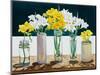 Still Life Freesias-Christopher Ryland-Mounted Giclee Print