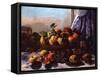 Still Life: Fruit, 1871-Gustave Courbet-Framed Stretched Canvas