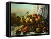 Still Life, Fruit, 1871-Gustave Courbet-Framed Stretched Canvas