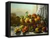 Still-life,fruit-Gustave Courbet-Framed Stretched Canvas
