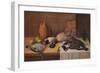 Still Life Game Birds, c1895-William Cruikshank-Framed Premium Giclee Print